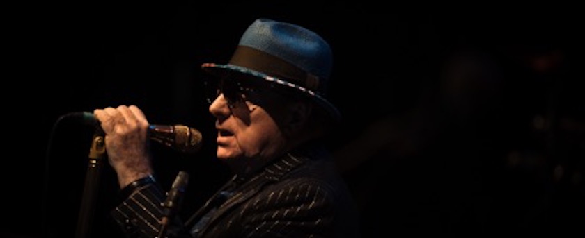 Van Morrison photo