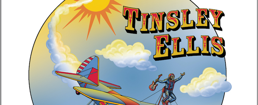 Tinsley Ellis Devil May Care album cover